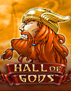 hall of gods gokkast